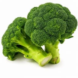 Broccoli