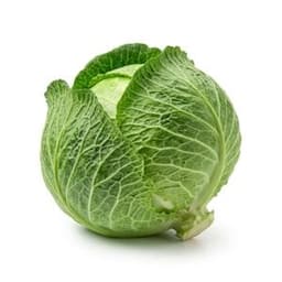Cabbage