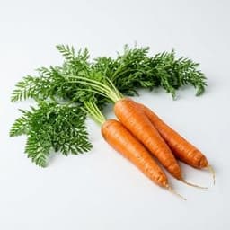 Carrot