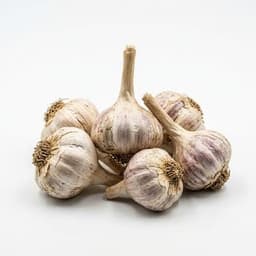 Country Garlic