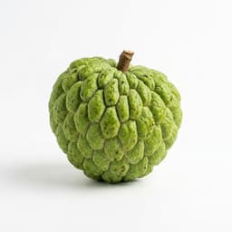 Custard Apple