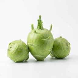 Knol Khol
