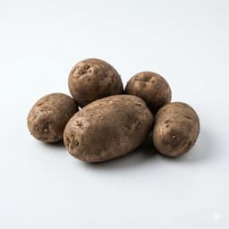 Kolar potato