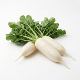 Radish