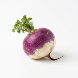 Turnip